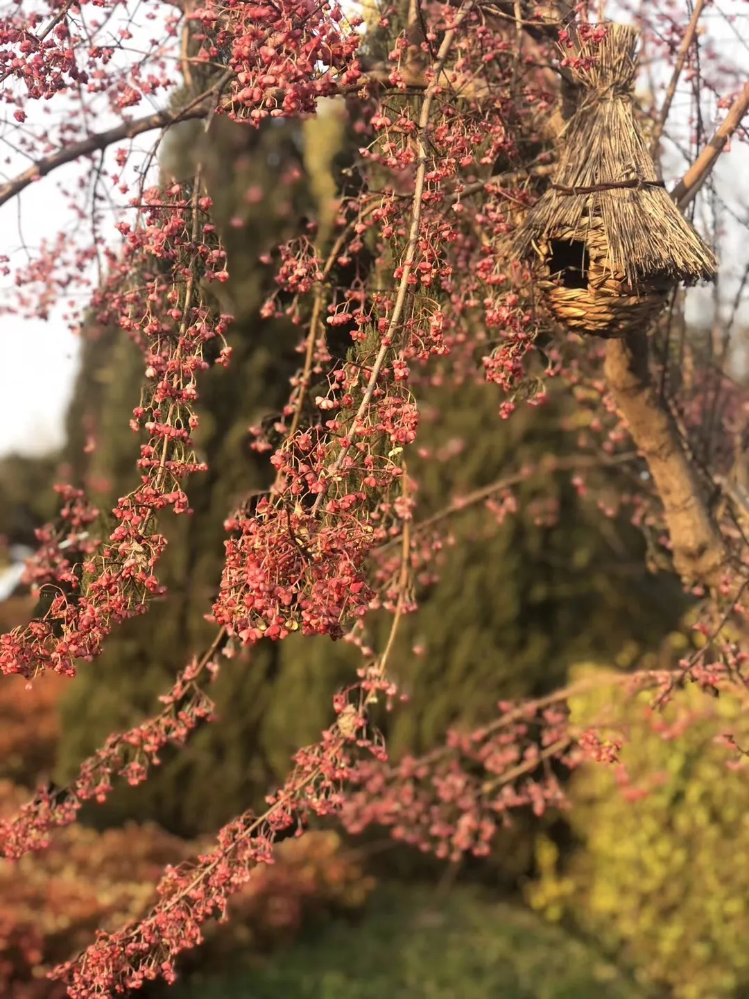 龙生墓园第七届中元文化节——“中元祭|追忆时光缱绻，创艺灯语流年”沈阳墓园活动预告