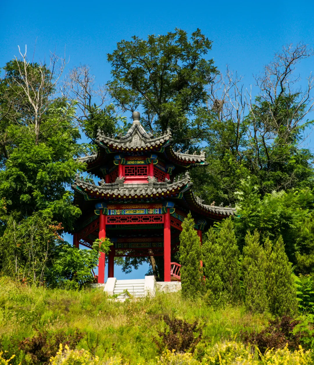 龙生墓园第七届中元文化节——“中元祭|追忆时光缱绻，创艺灯语流年”沈阳墓园活动预告