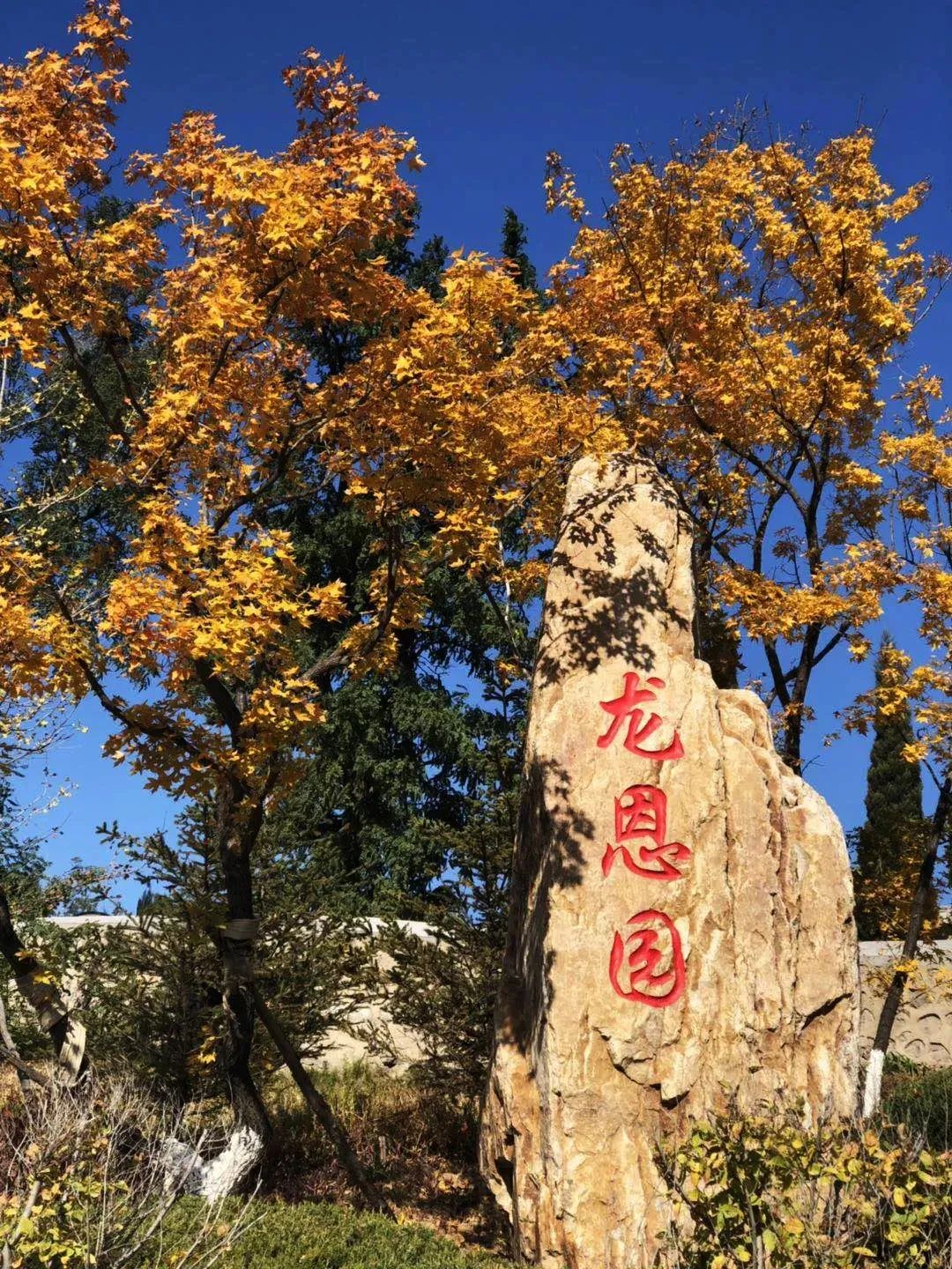 情暖寒衣|沈阳龙生墓园代祭为您传递冬日的第一缕温柔