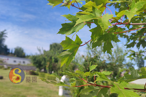 沈阳龙生墓园