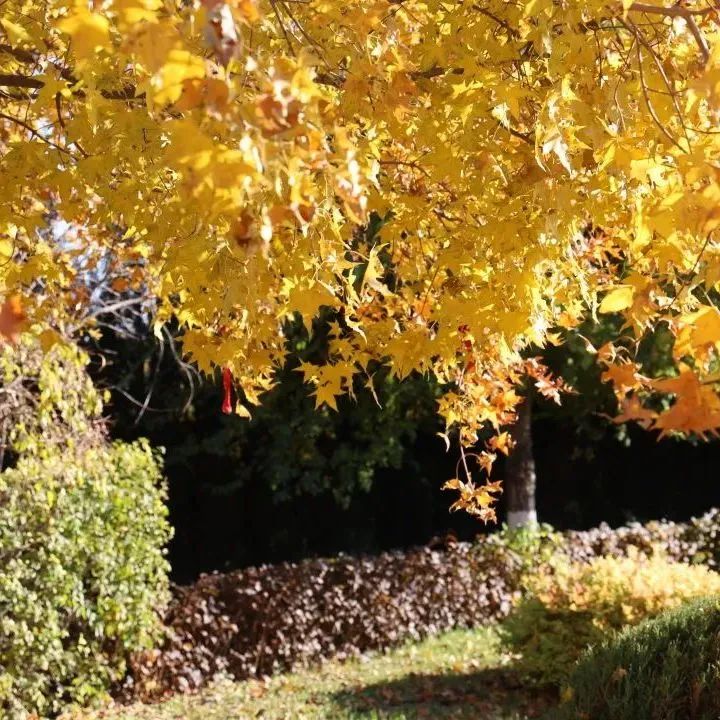 元旦特辑|回忆温暖,沈阳龙生墓园让爱照进未来