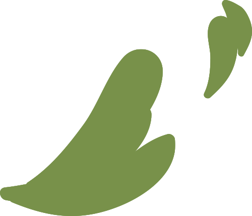 元旦特辑|回忆温暖,沈阳龙生墓园让爱照进未来