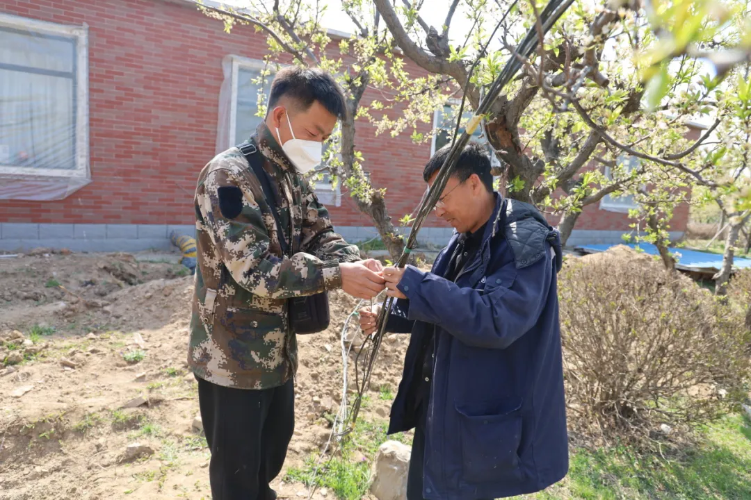 元旦特辑|回忆温暖，沈阳龙生墓园让爱照进未来