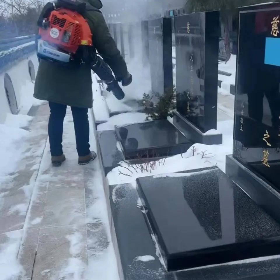 元旦特辑|回忆温暖,沈阳龙生墓园让爱照进未来