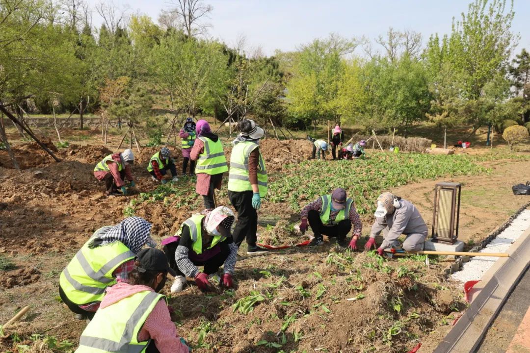 元旦特辑|回忆温暖,沈阳龙生墓园让爱照进未来