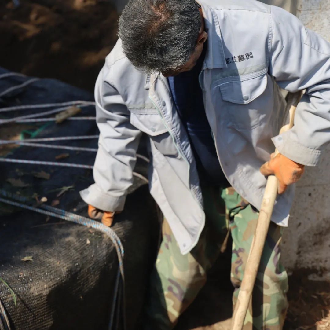 元旦特辑|回忆温暖,沈阳龙生墓园让爱照进未来