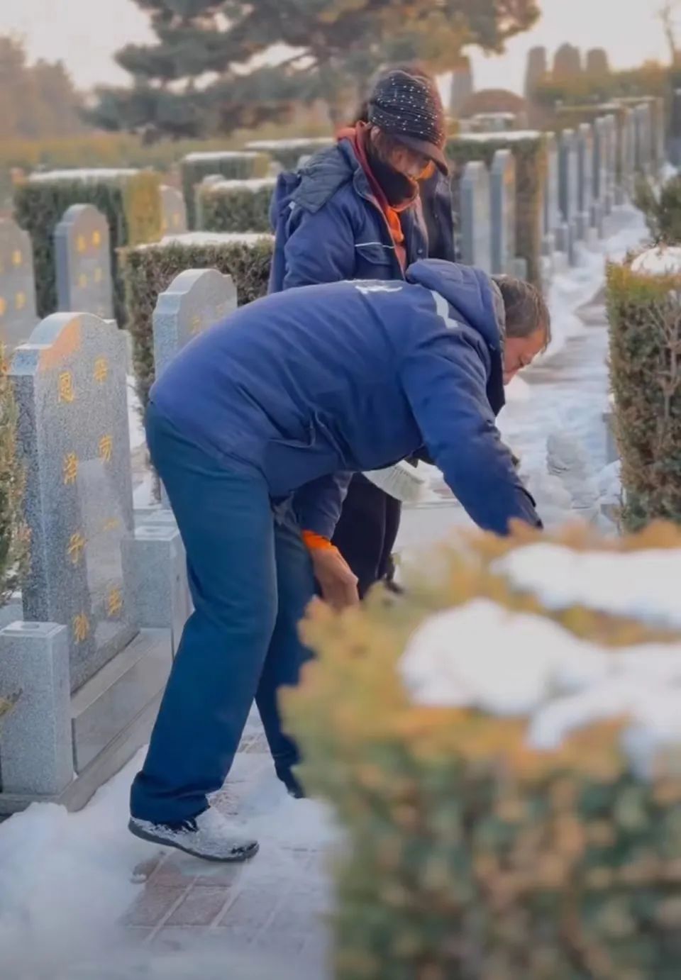 灯火映团圆,温情护新春 | 龙生墓园春节期间服务不停歇