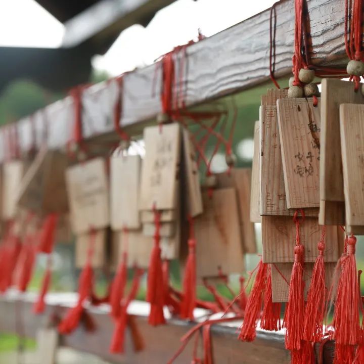 元宵佳节 | 沈阳龙生人文纪念园送福灯,月圆情满点亮思亲路