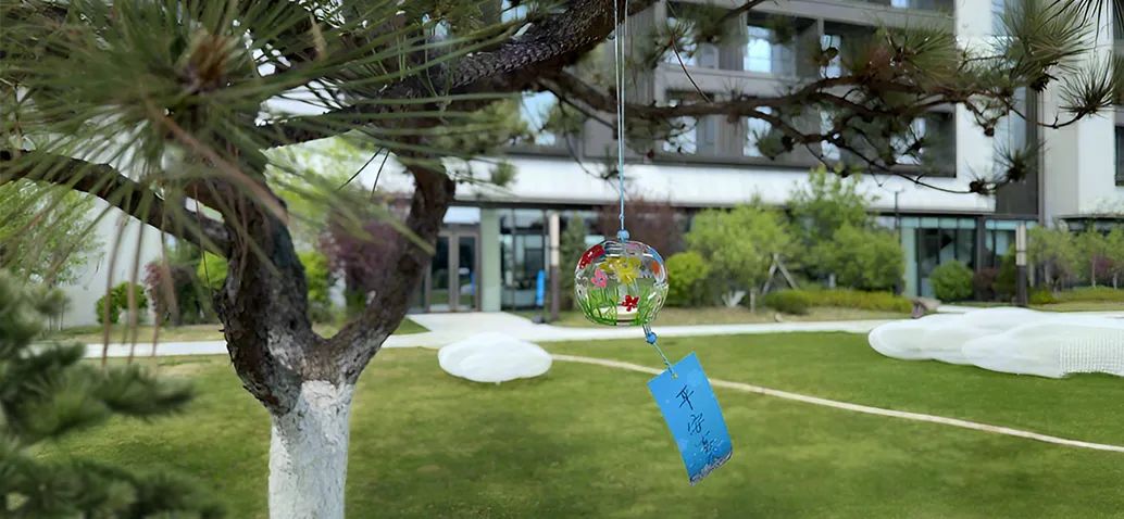 【一日“光影”,情满龙生】 ——沈阳公墓2025母亲节活动温暖回顾