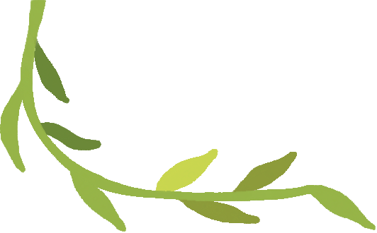 【一日“光影”,情满龙生】 ——沈阳公墓2025母亲节活动温暖回顾