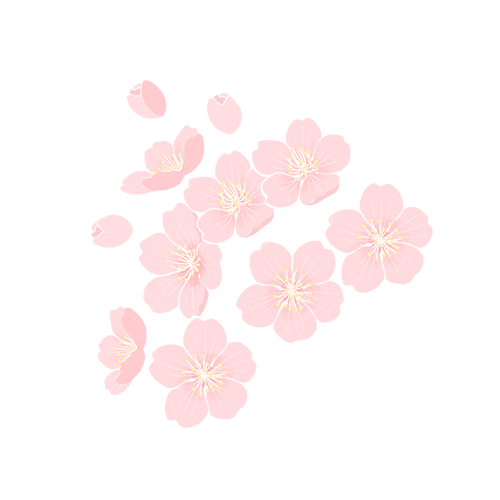 母亲节代祭服务,沈阳龙生墓园以专业守护每一份牵挂