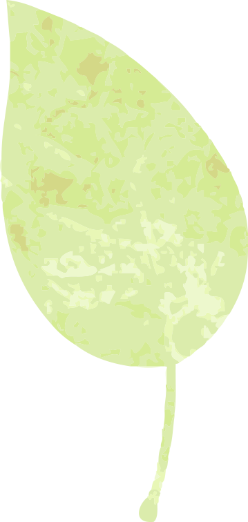 【一日“光影”,情满龙生】 ——沈阳公墓2025母亲节活动温暖回顾