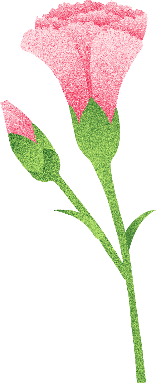 【一日“光影”,情满龙生】 ——沈阳公墓2025母亲节活动温暖回顾