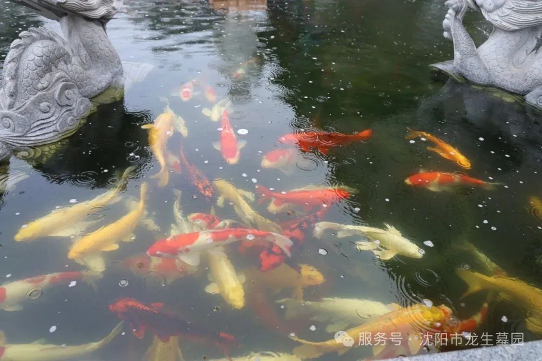 沈阳龙生墓园父亲节特辑｜把爱酿进时光