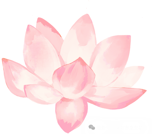 心香遥寄，灯火传情 | 沈阳龙生墓园中元节代祭服务与祈福河灯预售温情上线