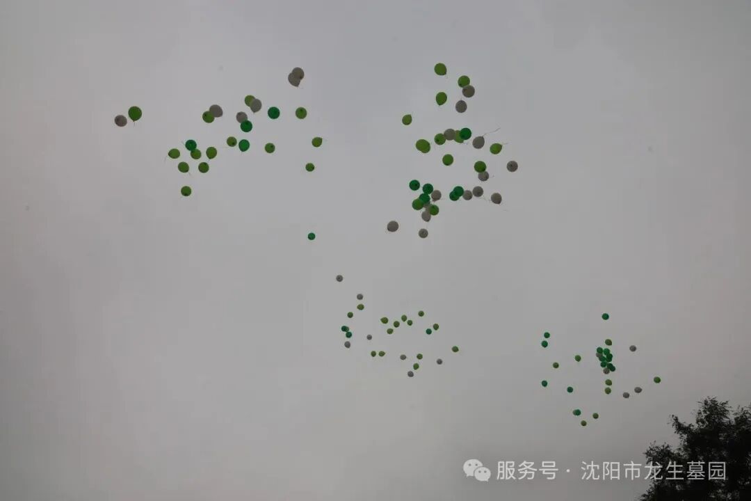 让思念在“数字”与自然中永续 | 沈阳龙生墓园第五届节地生态葬圆满礼成