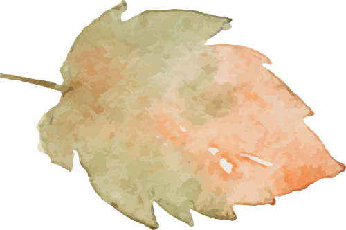 让思念在“数字”与自然中永续 | 沈阳龙生墓园第五届节地生态葬圆满礼成