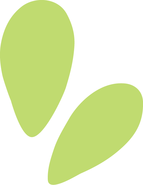 让思念在“数字”与自然中永续 | 沈阳龙生墓园第五届节地生态葬圆满礼成