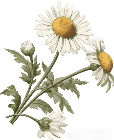 月满华诞，思念更长 | 沈阳龙生墓园代祭，一份家国同庆时的温暖托付