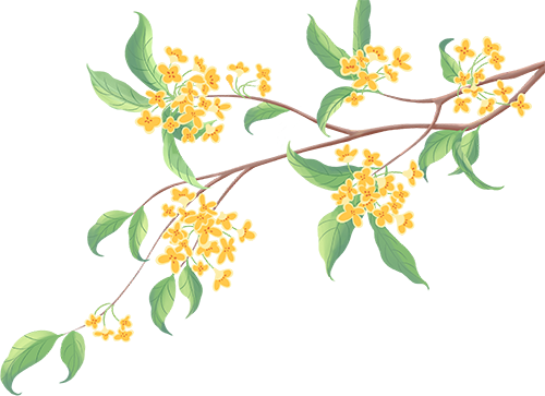 月满华诞，思念更长 | 沈阳龙生墓园代祭，一份家国同庆时的温暖托付