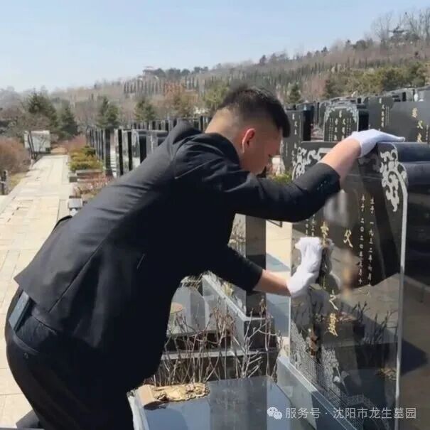 「岁岁重阳,情系龙生」沈阳龙生墓地陪您把思念酿成温暖