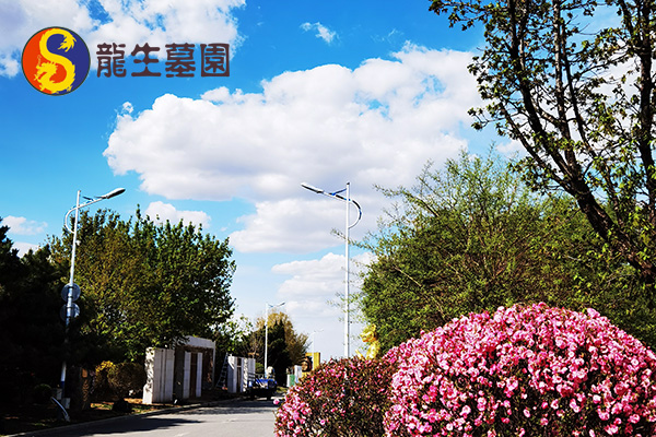 如何辨别沈阳陵园合法性,避免潜在风险?