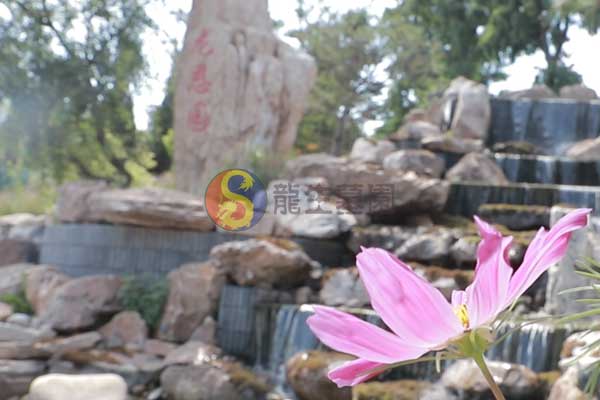 沈阳龙生墓园 沈阳龙生墓园