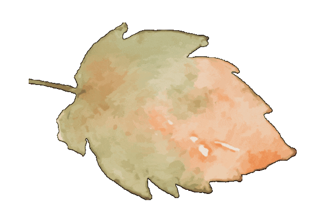 寒衣节活动纪实 | 沈阳龙生墓园参与社区寒衣节文明祭祀倡议活动 ——记沈阳市殡葬协会与武功山社区党群联合举办公益活动