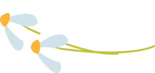 寒衣节活动纪实 | 沈阳龙生墓园参与社区寒衣节文明祭祀倡议活动 ——记沈阳市殡葬协会与武功山社区党群联合举办公益活动