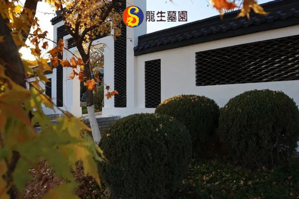 如何根据需求选择合适的沈阳公墓：生态、尊重与安宁之选