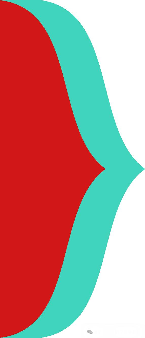 沈阳墓园官网直播龙生2025年总结表彰暨2026年会盛典