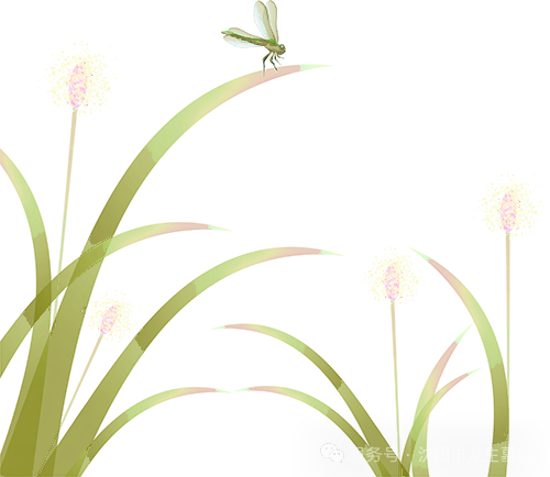 沈阳墓园双节同寄|粽香染长夏,父爱如日恒长