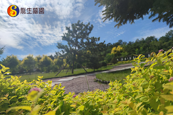 生前购买沈阳公墓指南：如何提前规划理想的安息之地