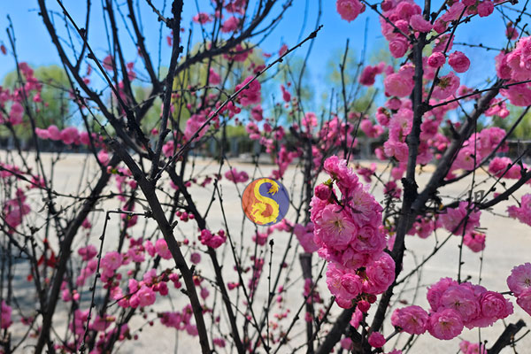 沈阳龙生墓园