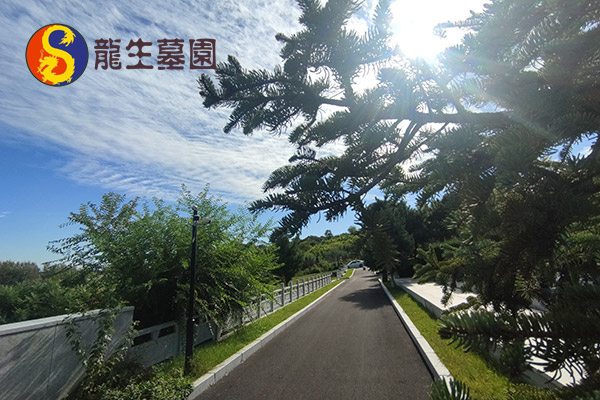 沈阳墓园传承八一军魂永铸：热烈庆祝建军98年，龙生致敬人民子弟兵