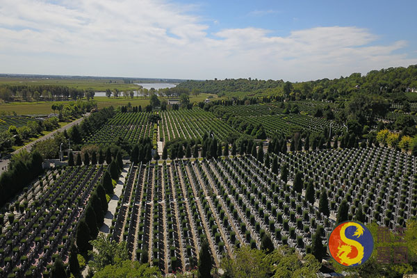 沈阳龙生墓园